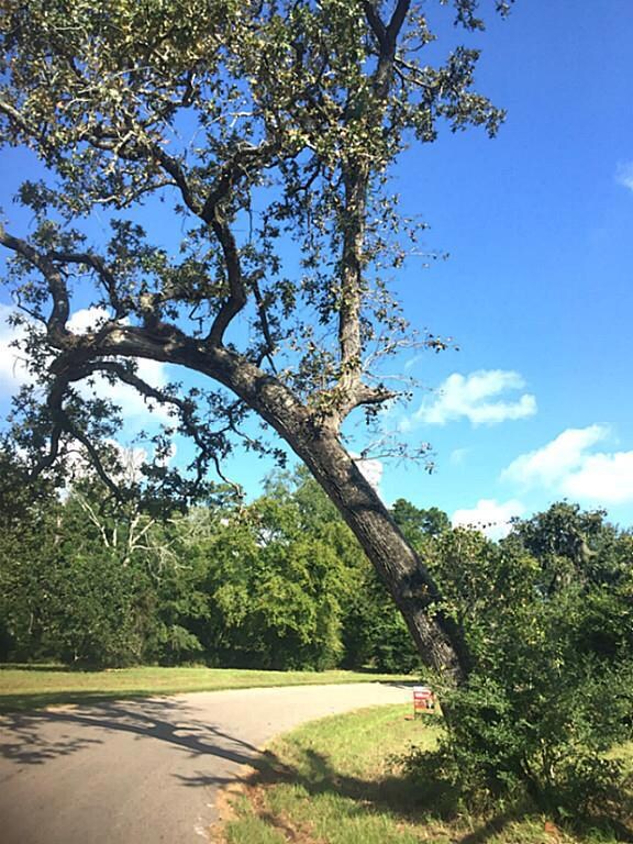 0 Shady Oak unit 11165447, Hockley, TX 77447 - photo 5