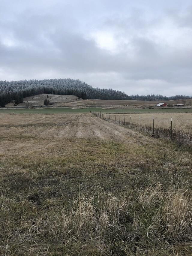 2040 Steinmetz Rd, Chewelah, WA 99109 - photo 3