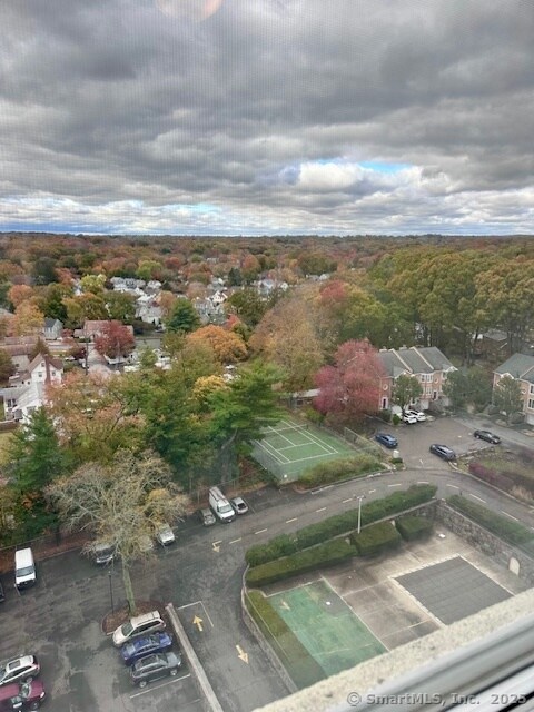 View From the Dining Room Window
