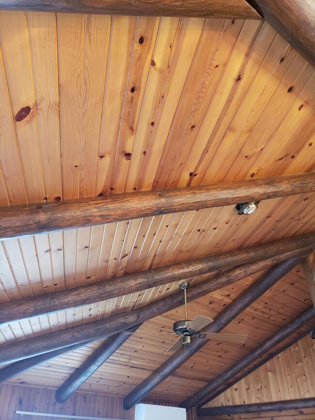 Ceiling Park