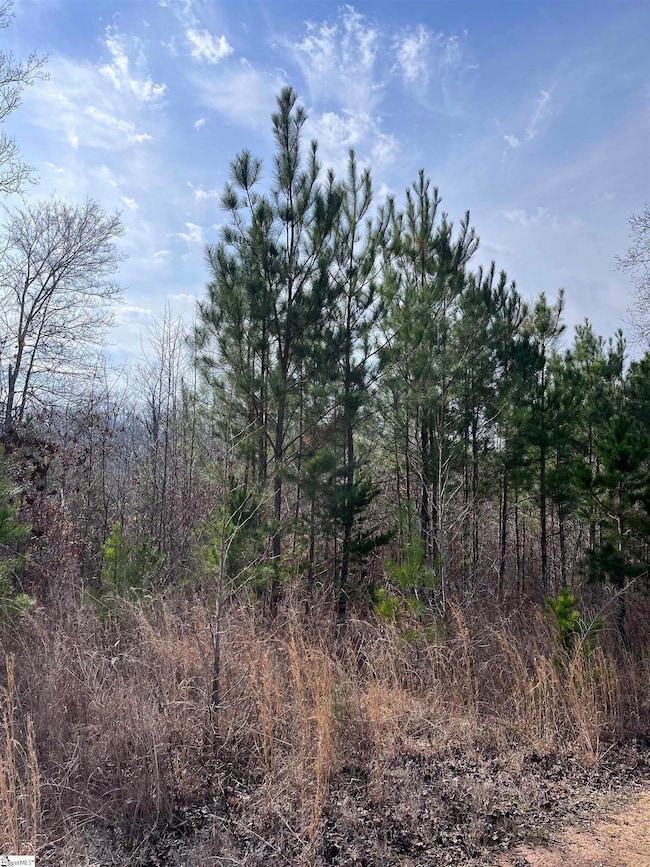 0 Lakeview Dr unit 1519656, Fair Play, SC 29643 - photo 2