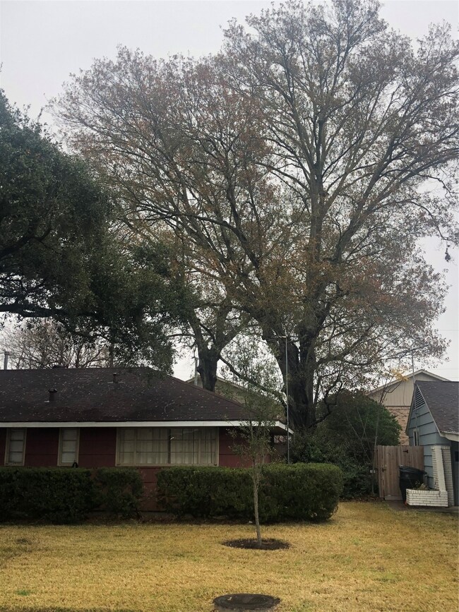 1634 Bayram Dr, Houston, TX 77055 - photo 4