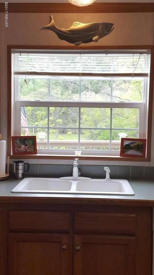 kitchen sink view - Copy