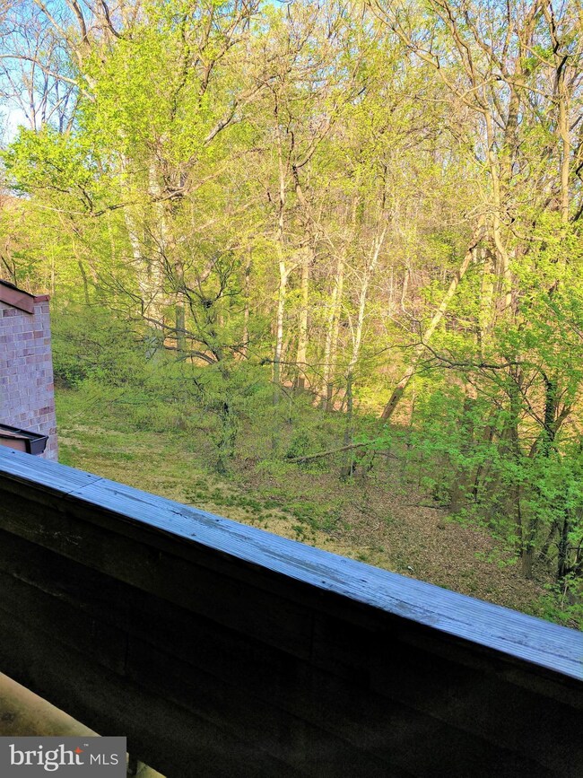 3719A Madison Ln, Falls Church, VA 22041 - photo 7