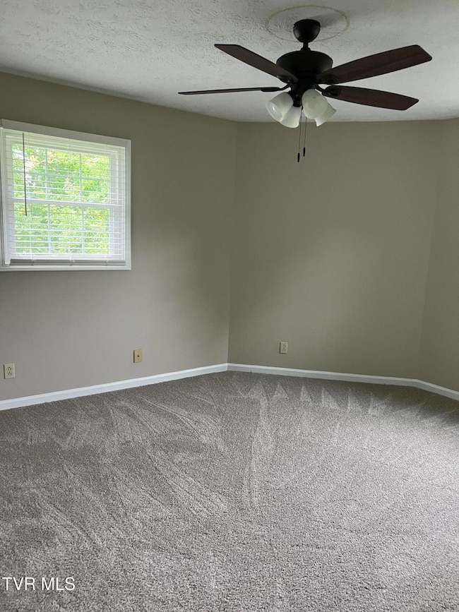 148 Green Pond Rd, Johnson City, TN 37604 - photo 5