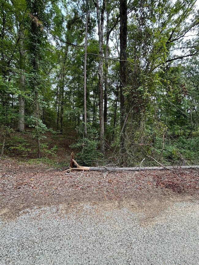 0 Tracie Rd, Gore Springs, MS 38929 - photo 3