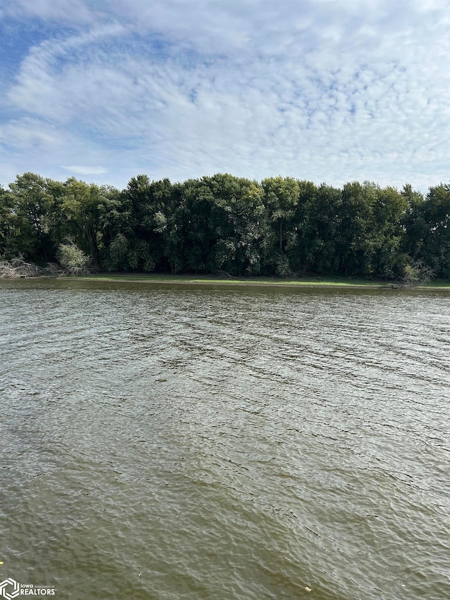 125 Oconnell Beach Rd, Burlington, IA 52601 - photo 4