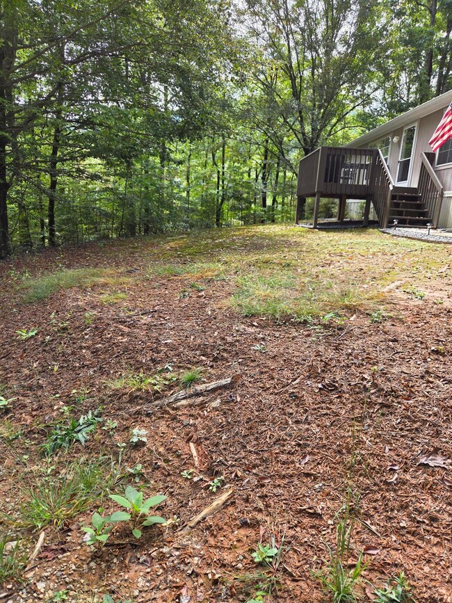 2031 Lone Ivy Rd, Stuart, VA 24171 - photo 5