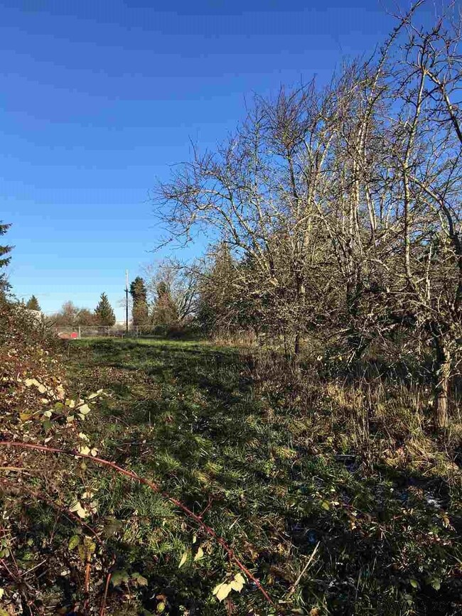 0 Pleasant View Dr NE unit 713425, Keizer, OR 97303 - photo 5