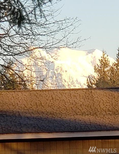 26114 86th Ave E, Graham, WA 98338 - photo 2