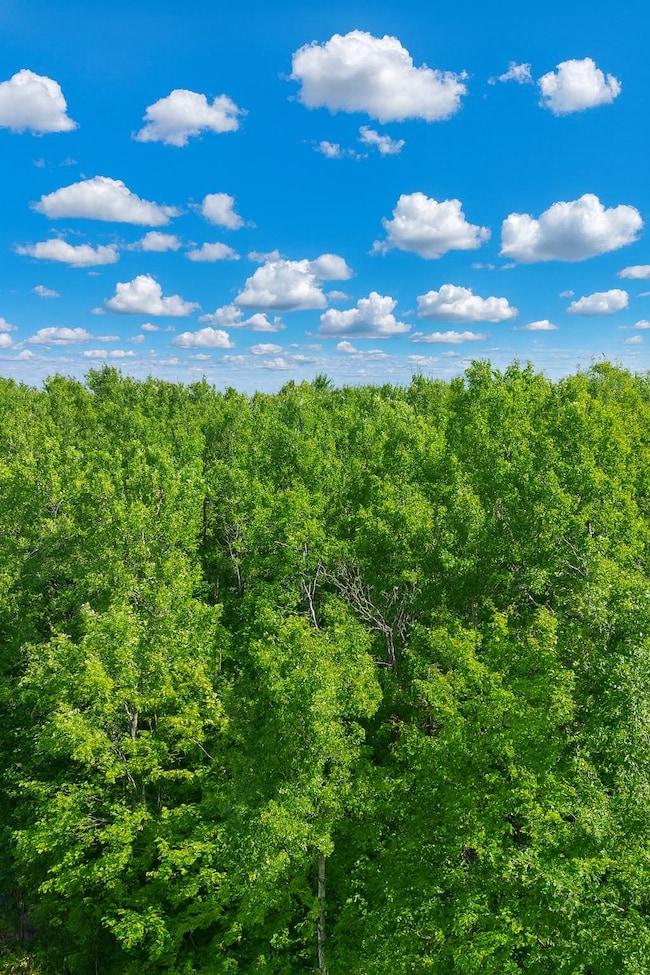 Lot 1 Cth C, Couderay, WI 54835 - photo 6