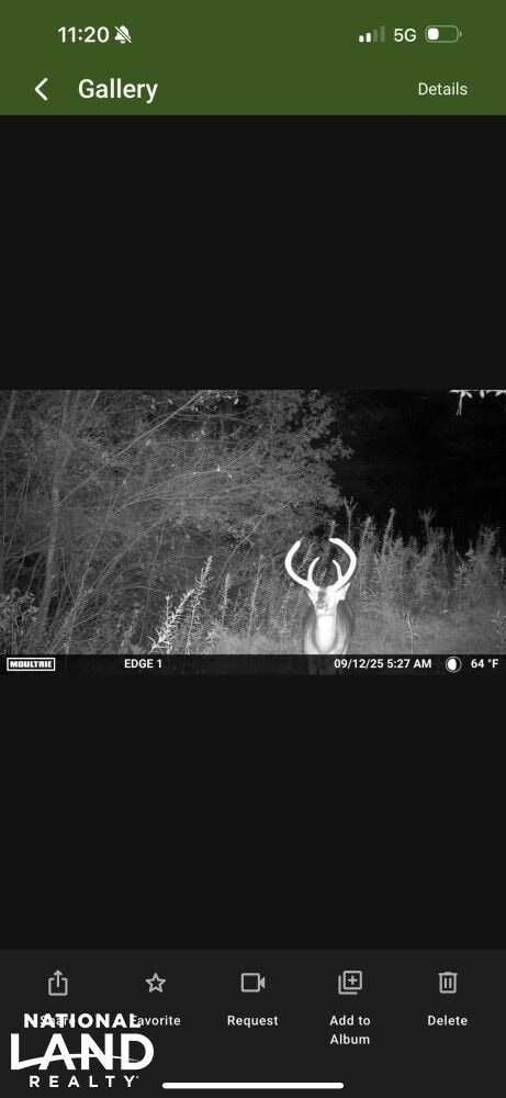 0 Souls Chapel Rd unit 24634253, Blountsville, AL 35031 - photo 2