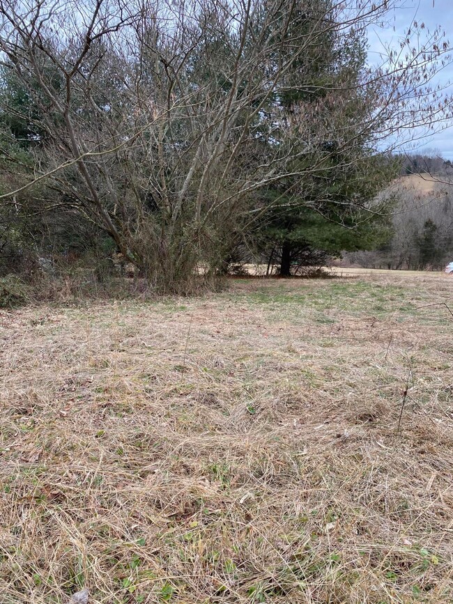 Flat spot looking towards road