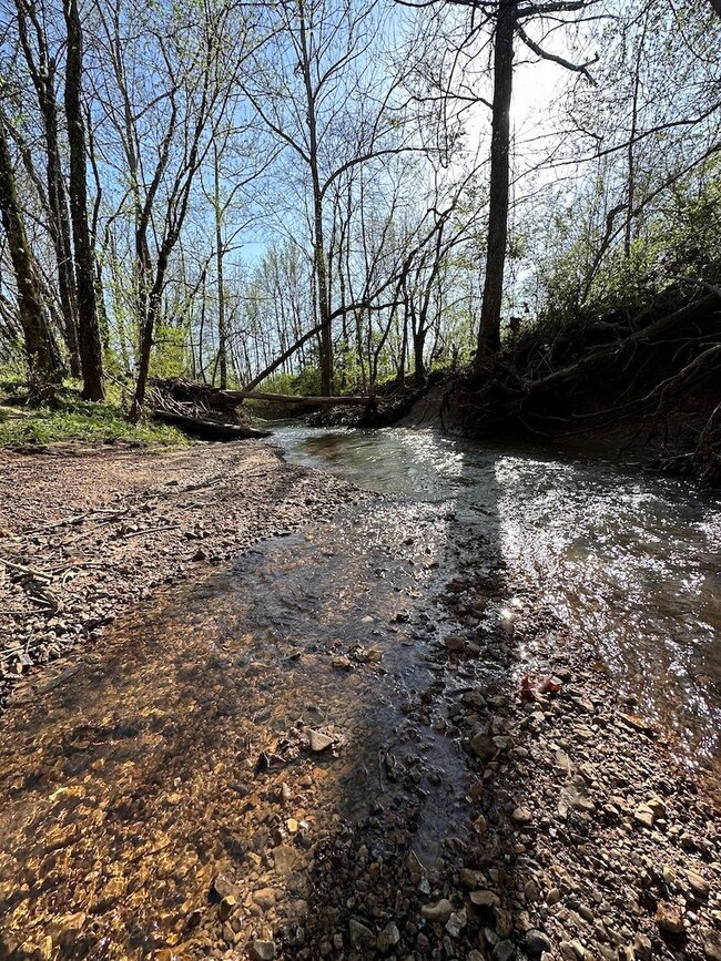 0 Tbd Engelberg Rd unit LotWP001, Pocahontas, AR 72455 - photo 2