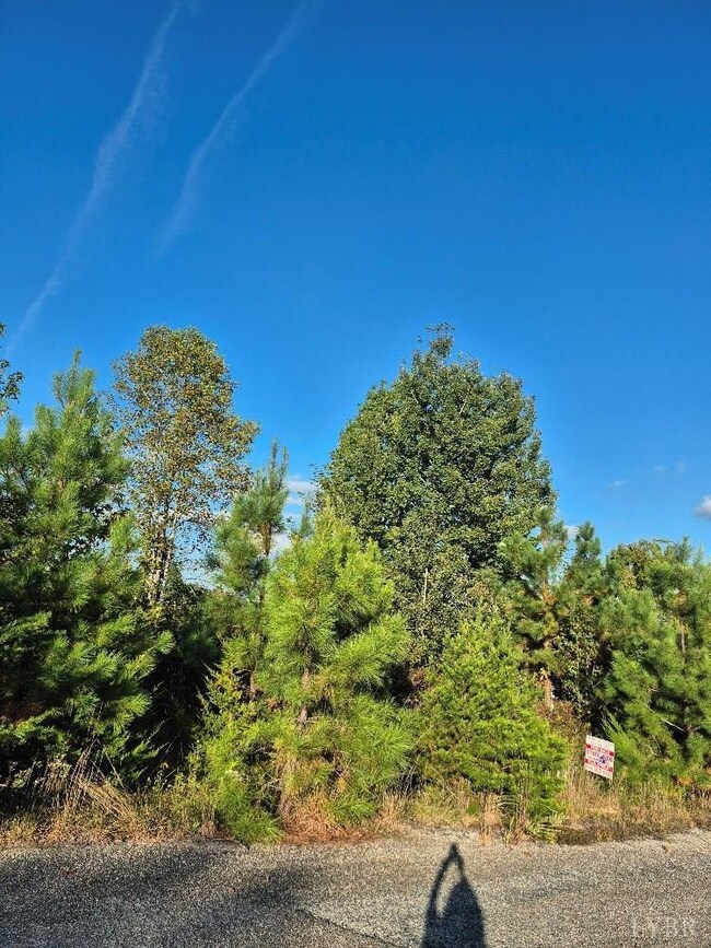 0 Fort Dr unit 361894, Pamplin, VA 23958 - photo 3