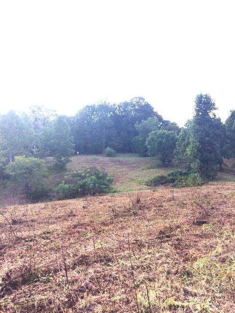 911 Moore Ln, Cookeville, TN 38506 - photo 3