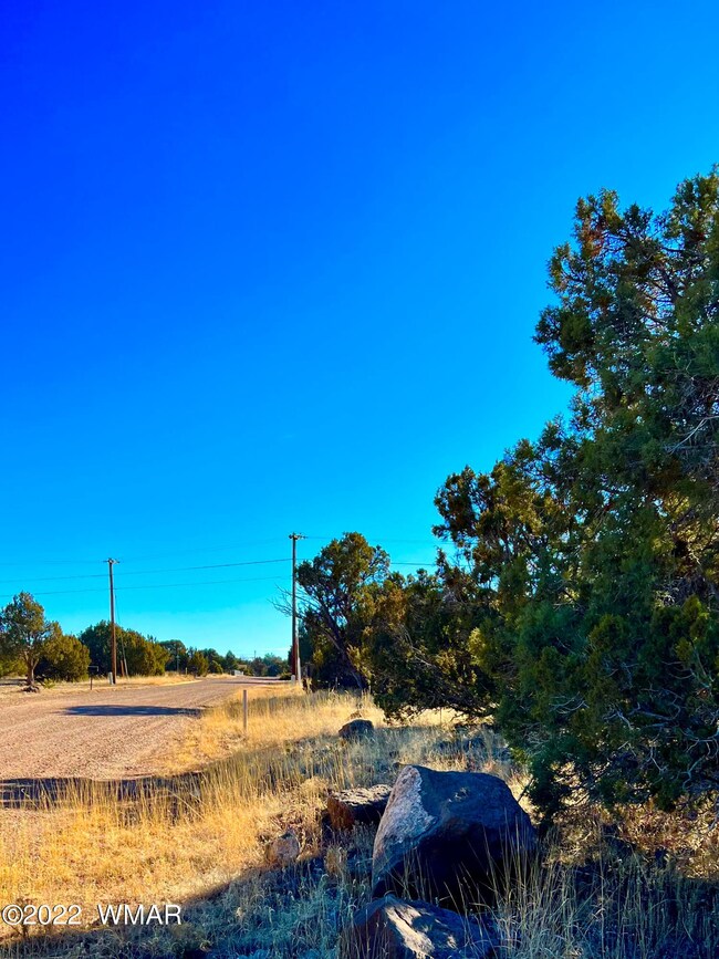 8789 Bruce Cir, Show Low, AZ 85901 - photo 2