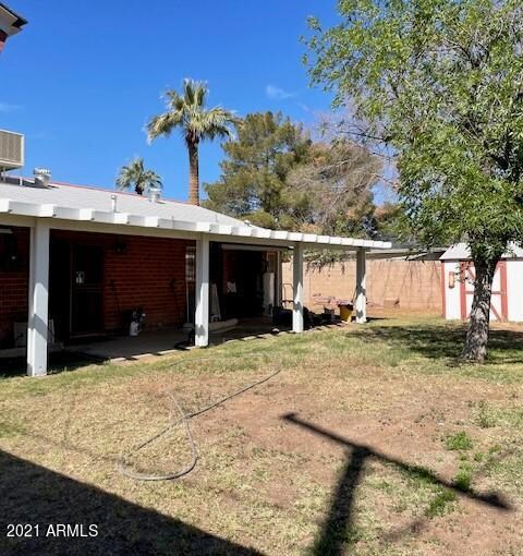 back yard