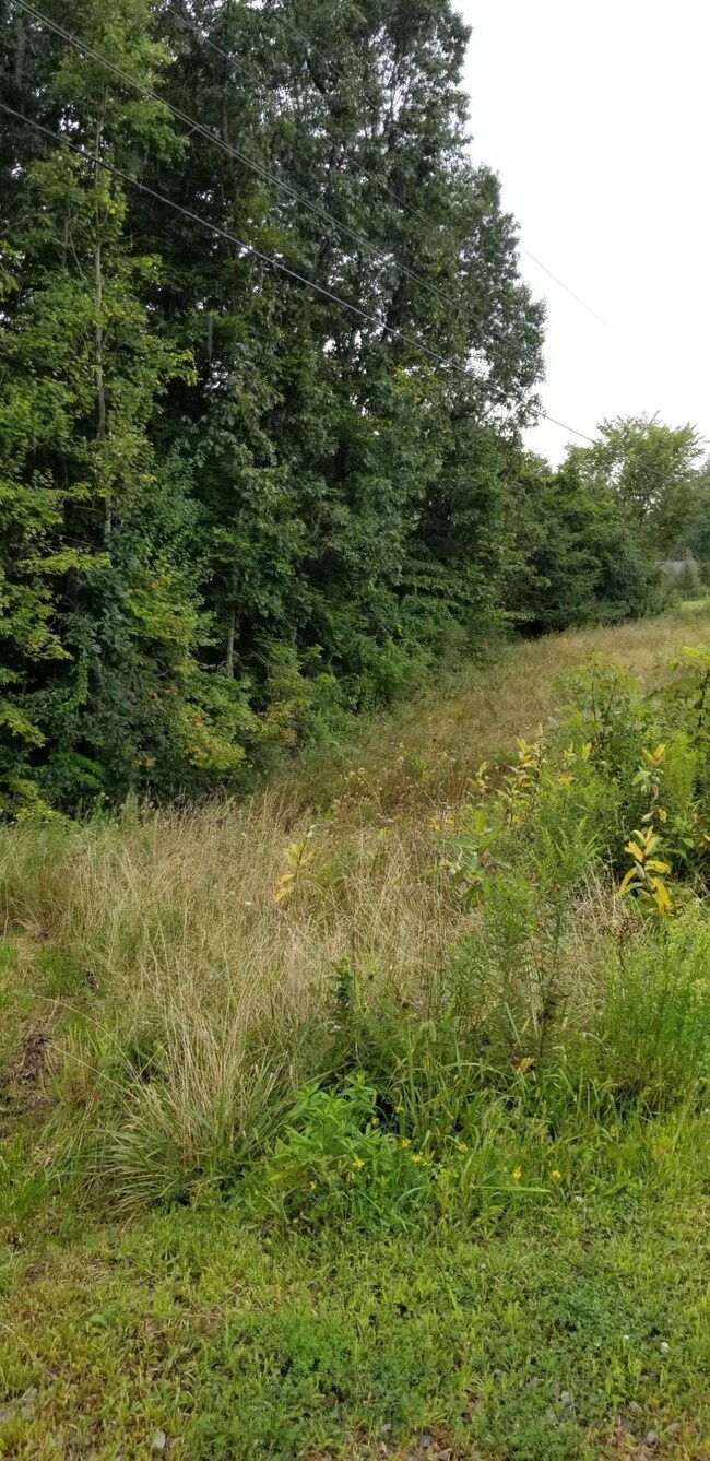 9082 Somerset Rd, Thornville, OH 43076 - photo 4