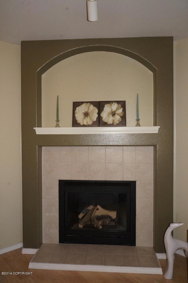 Gas Fireplace