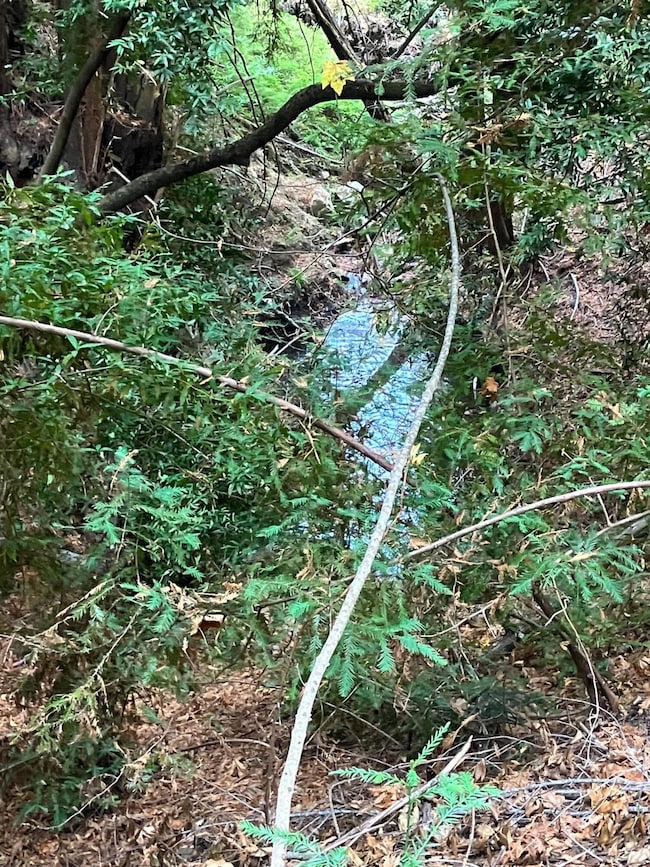 00 Old Logging Rd, Los Gatos, CA 95033 - photo 6