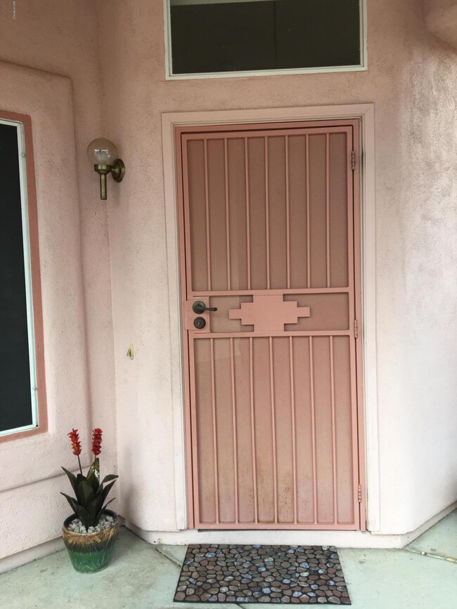 SECURITY FRONT DOOR