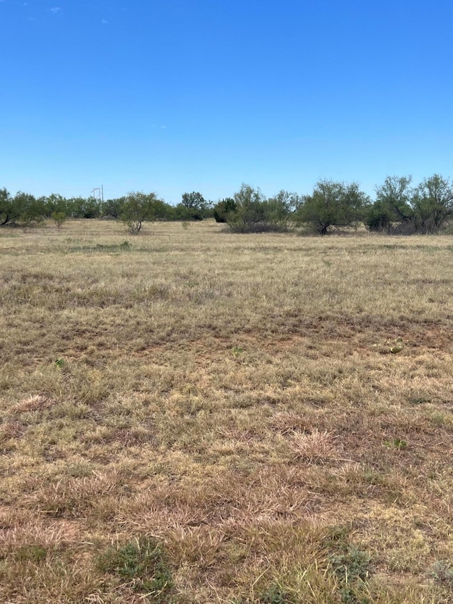 Lot View