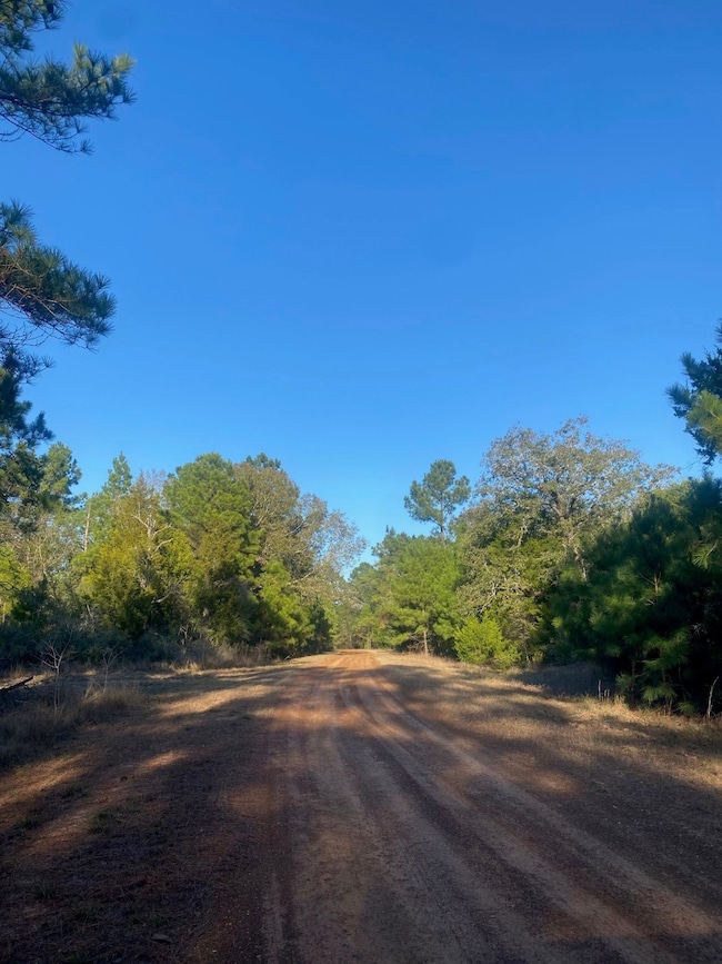 17922 Deerwood Dr, Hempstead, TX 77445 - photo 4