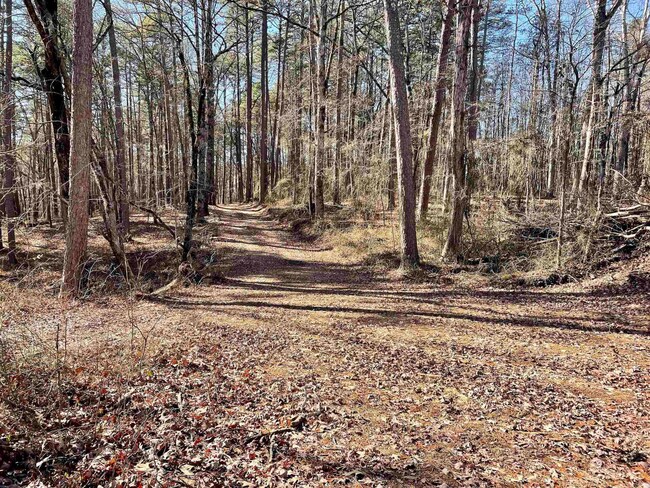 000 Tackett Mountain Rd, Jerusalem, AR 72080 | MLS# 24009338 | Homes.com