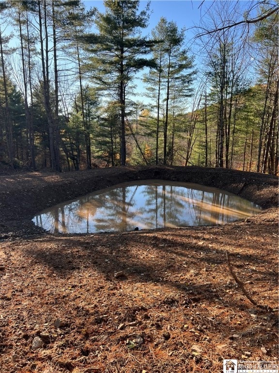 0 Co Rd 8 unit R1653662, Wirt, NY 14739 - photo 4