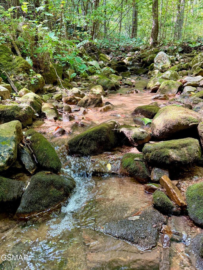 Lot 154 Summit Trails Dr, Sevierville, TN 37862 - photo 7