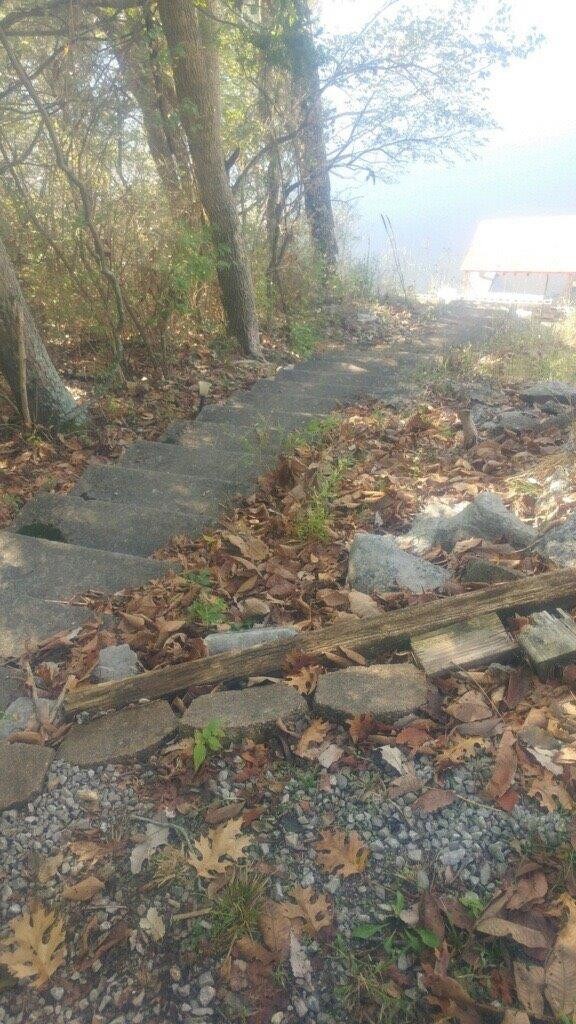 172 Cedarwood Ct, Harrodsburg, KY 40330 - photo 5