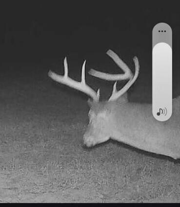 0 Richardson Rd unit 25-3971, Amory, MS 38821 - photo 3