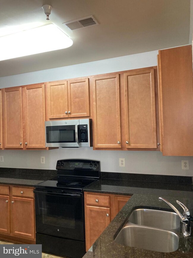 6161 Willow Place unit 206, Bealeton, VA 22712 - photo 3