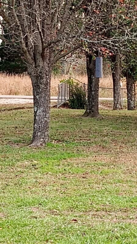 650 Point Mason Rd, Big Sandy, TN 38221 - photo 3