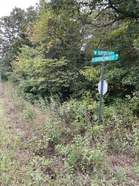 Tbd Turkey Mountain Estates unit 132-137, Shell Knob, MO 65747 - photo 2