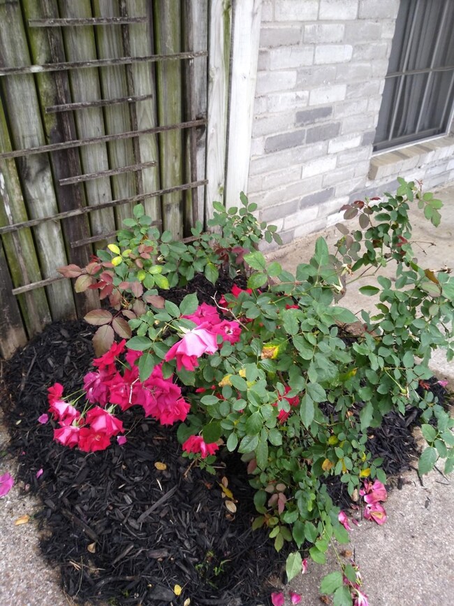 13114 Vista Brook Dr, Houston, TX 77041 - photo 4