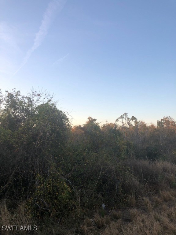 View of nature at dusk