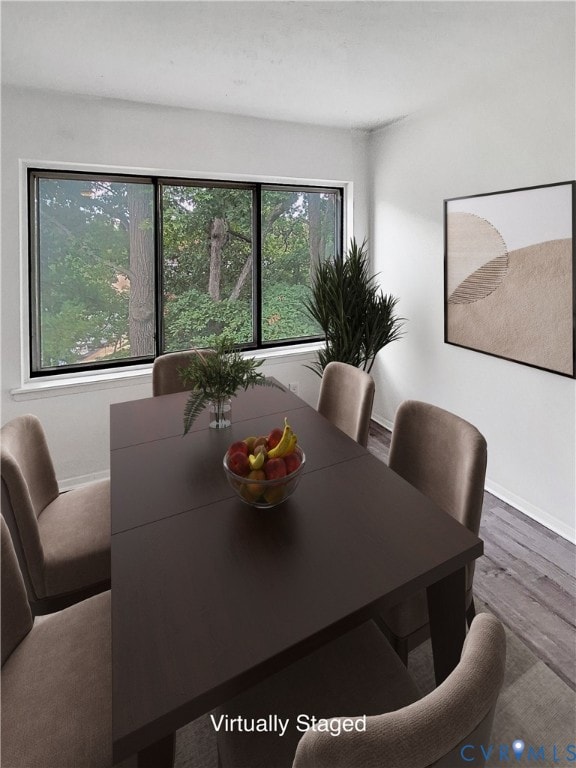 Dining room featuring wood-style floors