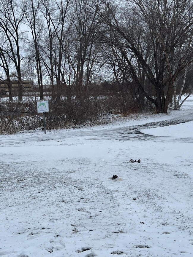 4145 Austin St NE, Circle Pines, MN 55014 - photo 5