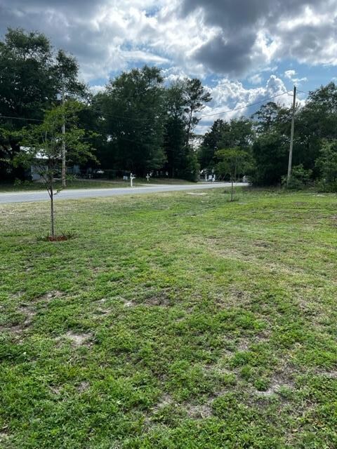 902 NW Avenue F, Carrabelle, FL 32322 - photo 5