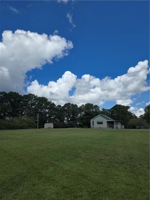 View of grassy yard with a storage unit