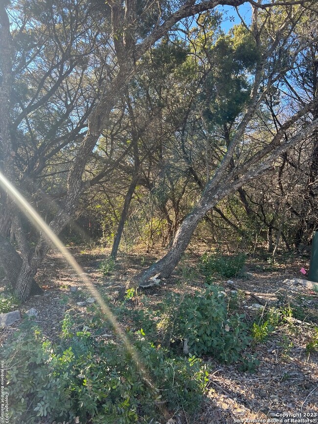 16813 Fox Ridge, San Antonio, TX 78023 - photo 3