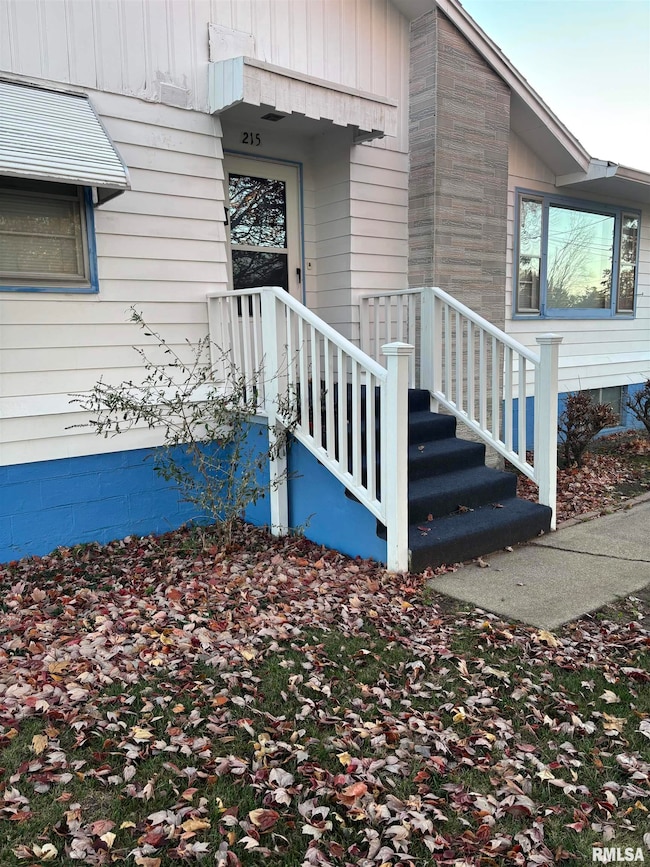 215 W Garfield St, Kewanee, IL 61443 - photo 3