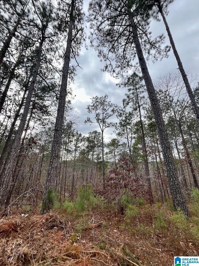 0 County Road 33 unit 21415403, Wedowee, AL 36278 - photo 3