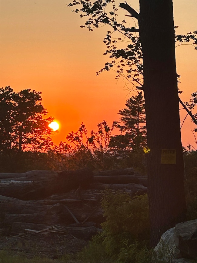 293 Bear Hill Rd unit 1, Loudon, NH 03307 - photo 6