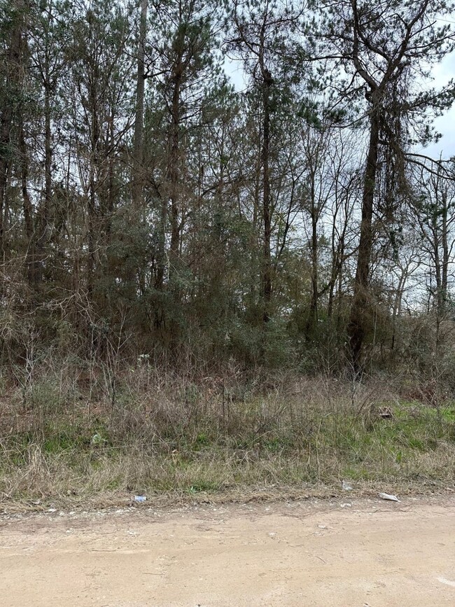 00 Magnolia Spring, Plantersville, TX 77363 - photo 4