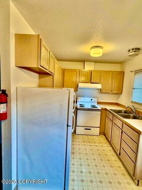 4131 Grape Place unit 2, Anchorage, AK 99508 - photo 3