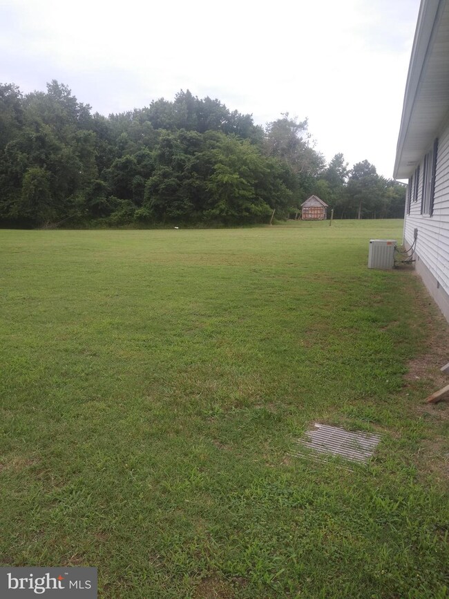 3637 Texas Rd, Bivalve, MD 21814 - photo 6