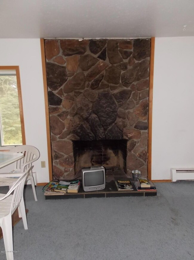 Fireplace.JPG